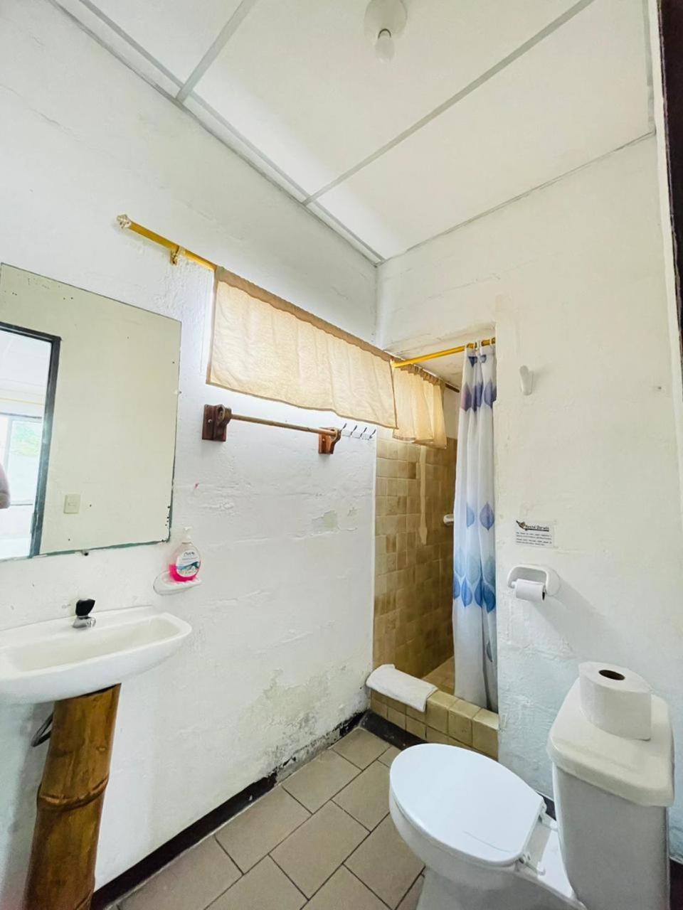 Hostal Darwin Puerto Ayora  Zewnętrze zdjęcie